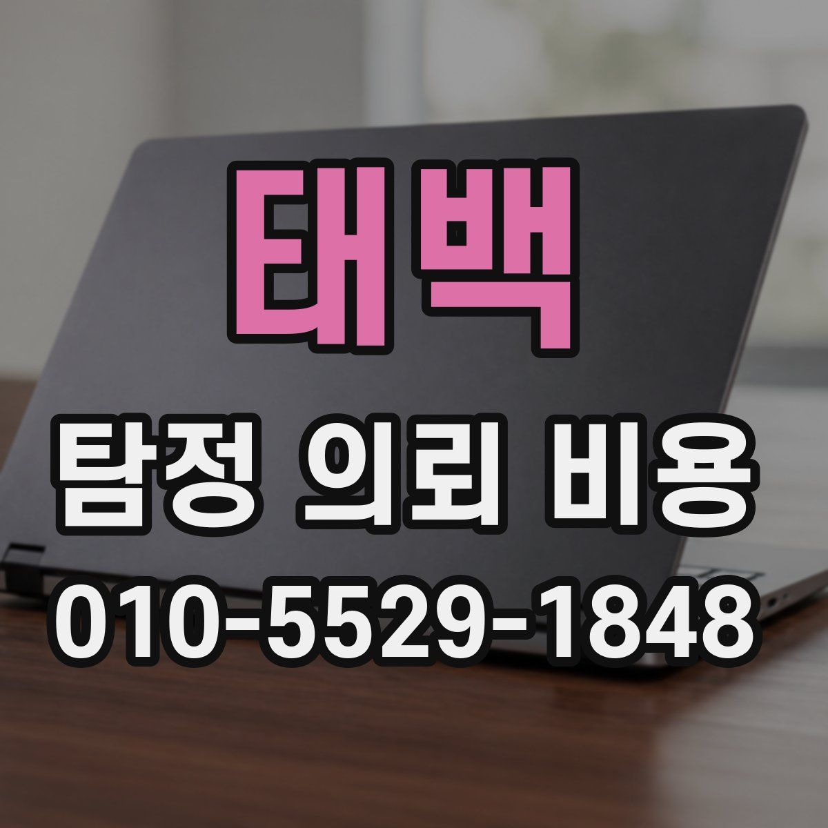 태백 탐정 의뢰 비용