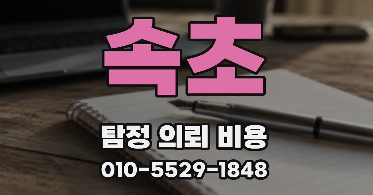 속초 탐정 의뢰 비용