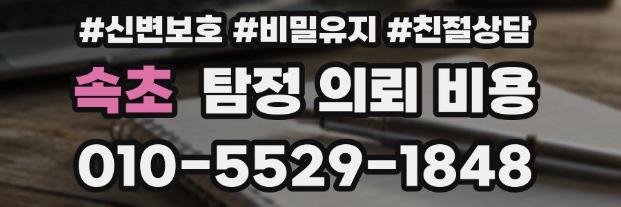 속초 탐정 의뢰 비용