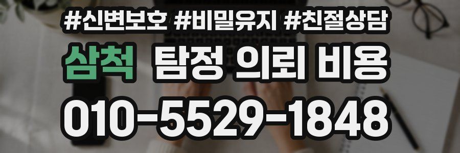 삼척 탐정 의뢰 비용