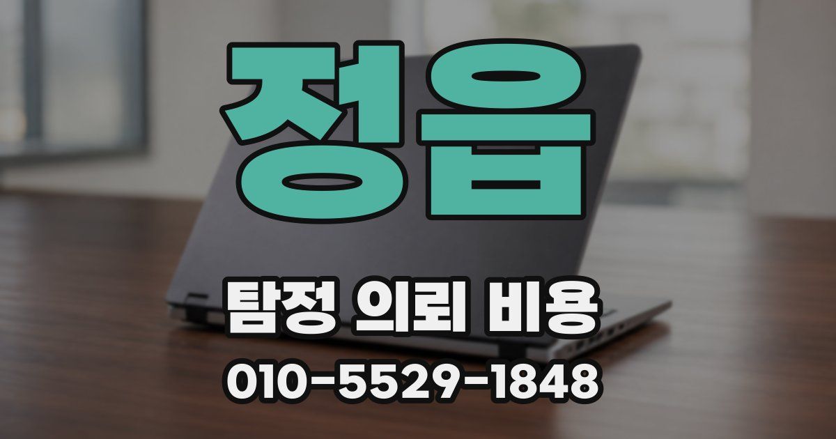정읍 탐정 의뢰 비용