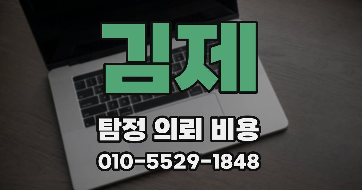 김제 탐정 의뢰 비용