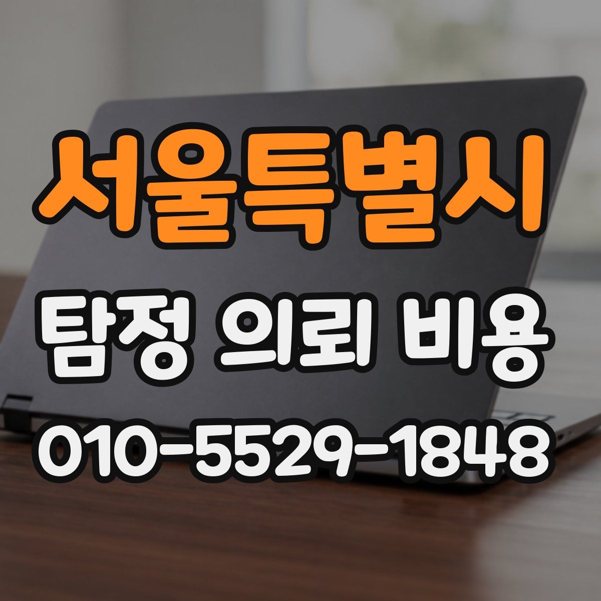 서울특별시 탐정 의뢰 비용