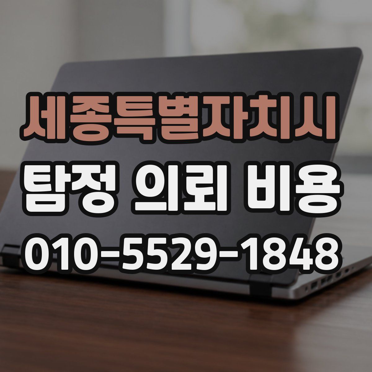 세종특별자치시 탐정 의뢰 비용