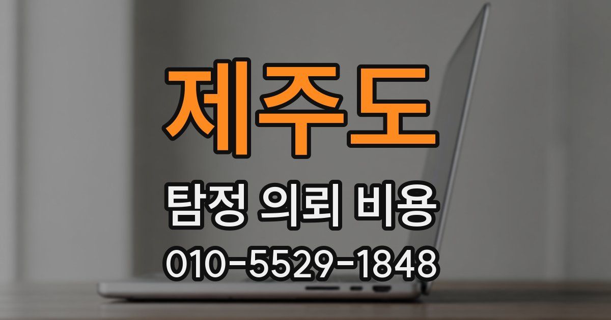 제주도 탐정 의뢰 비용