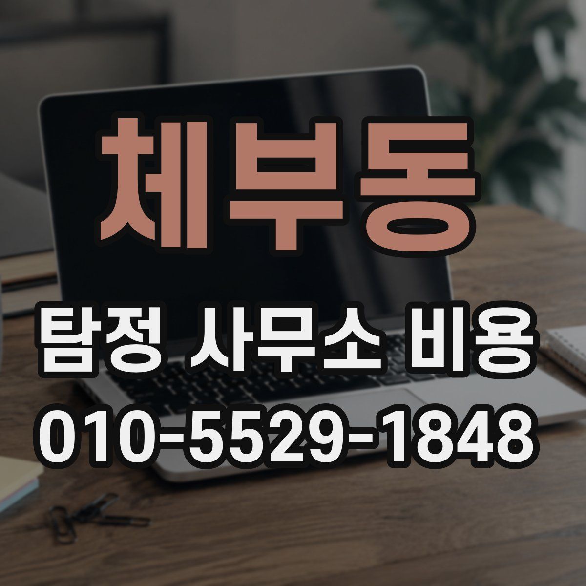 체부동 탐정 사무소 비용