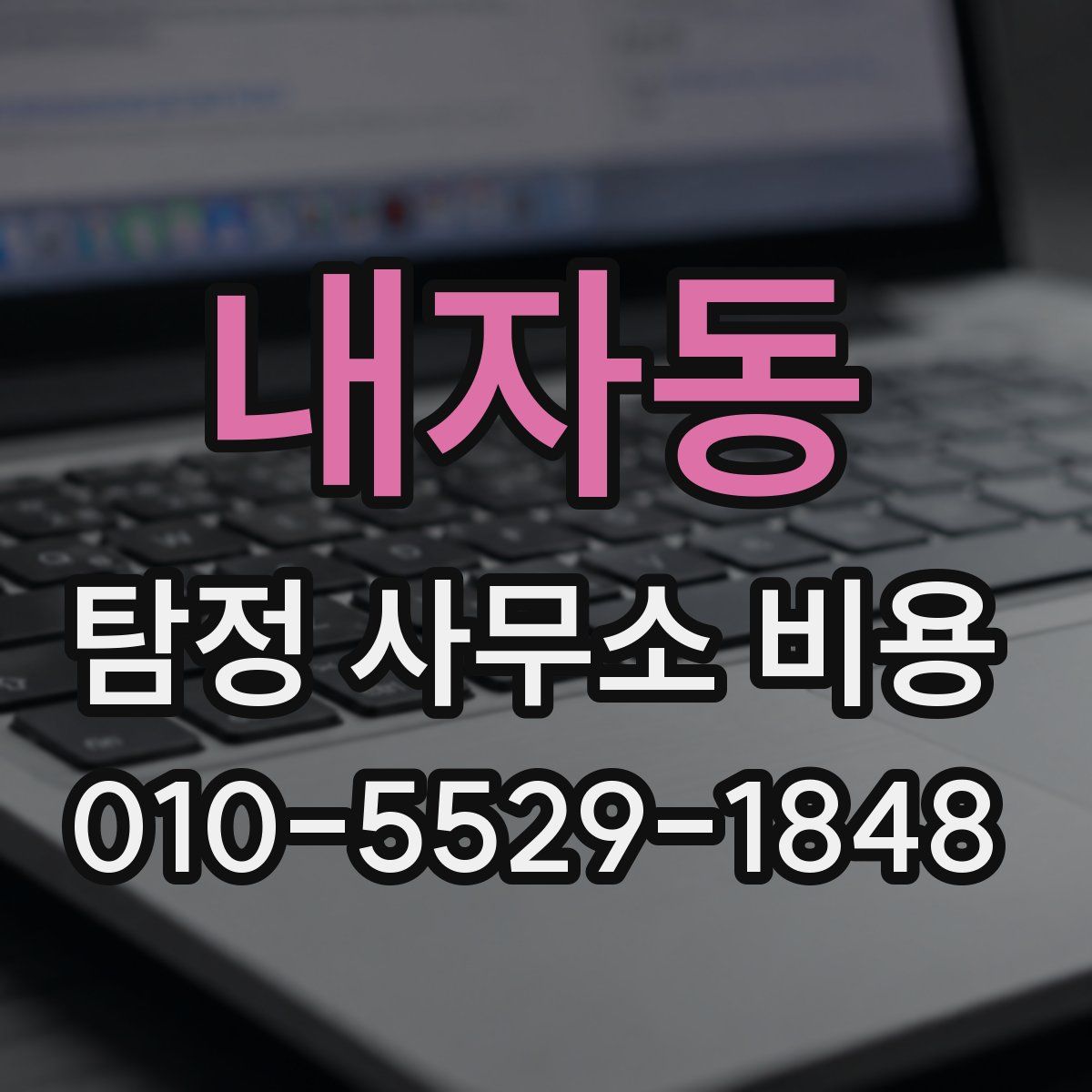 내자동 탐정 사무소 비용
