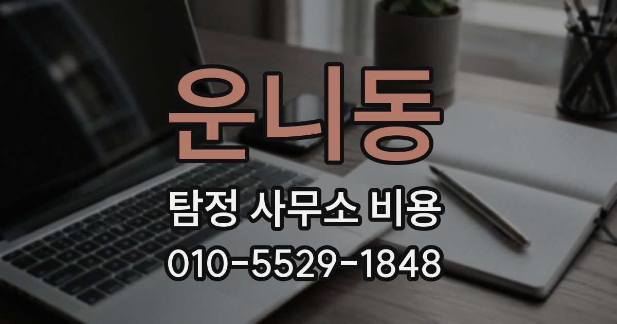 운니동 탐정 사무소 비용
