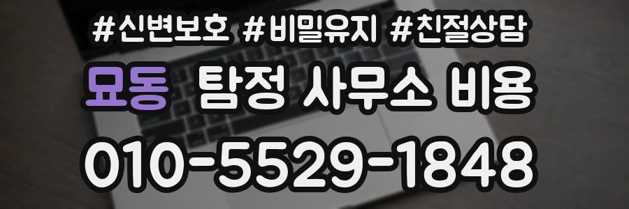 묘동 탐정 사무소 비용
