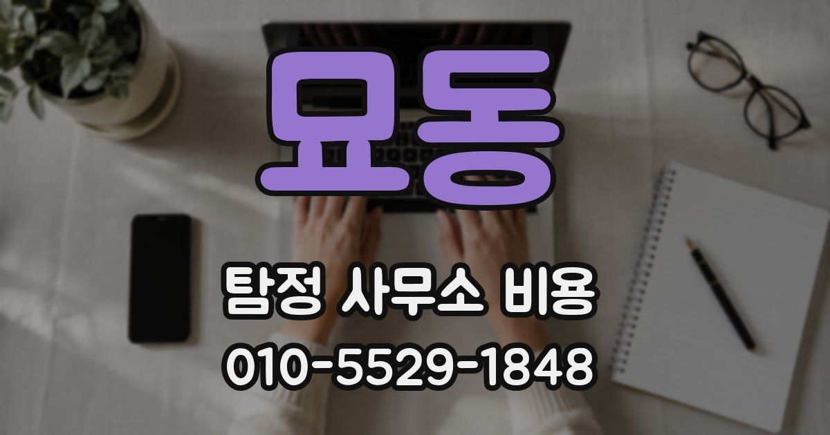 묘동 탐정 사무소 비용