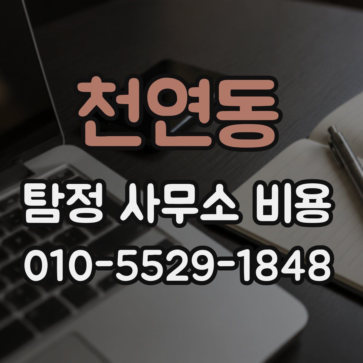 천연동 탐정 사무소 비용