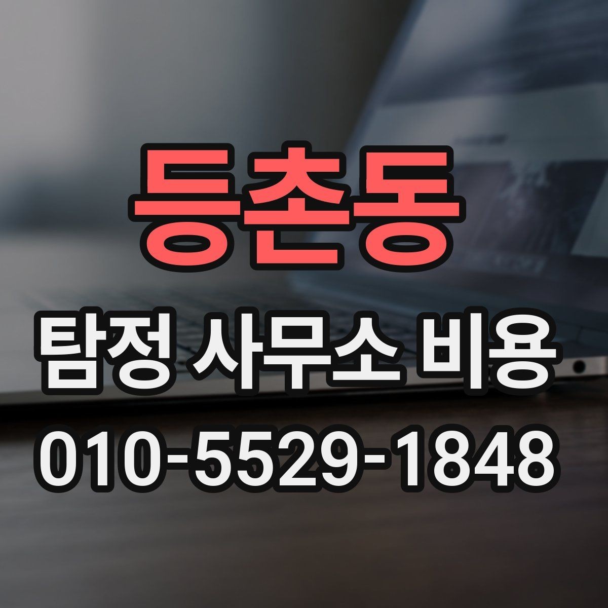 등촌동 탐정 사무소 비용 산정에 영향을 주는 요소