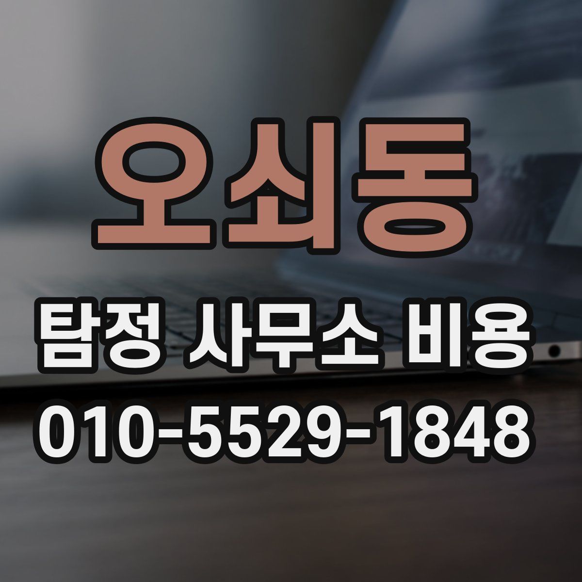오쇠동 탐정 사무소 비용