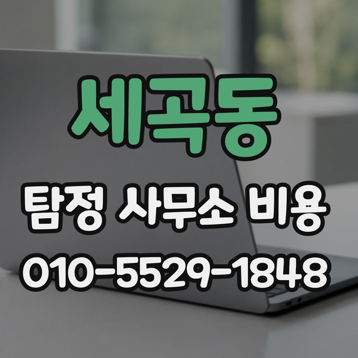 세곡동 탐정 사무소 비용