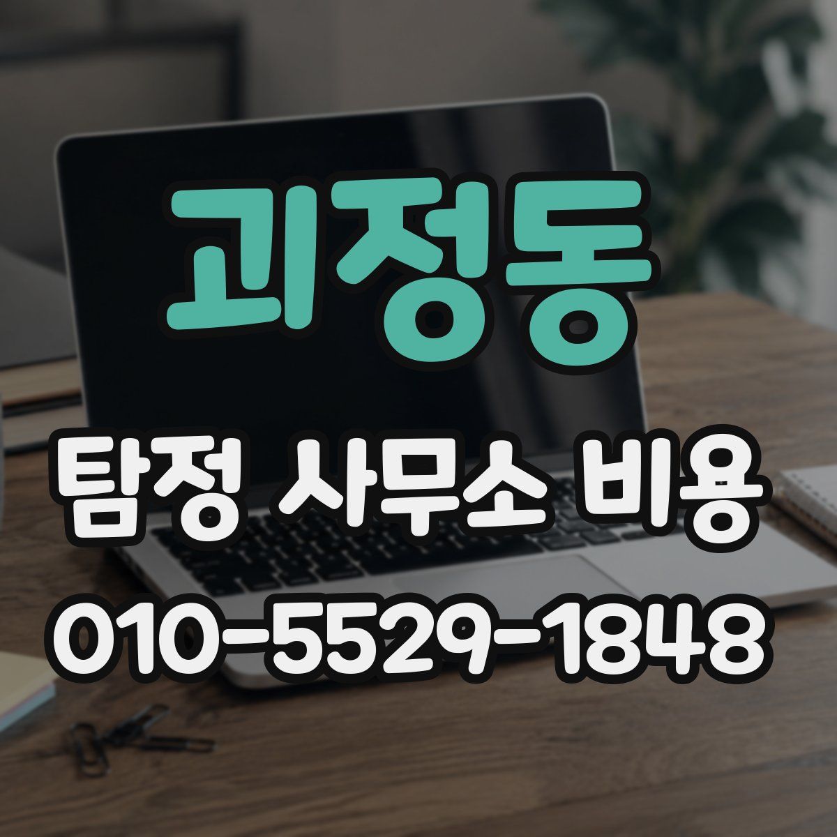 괴정동 탐정 사무소 비용