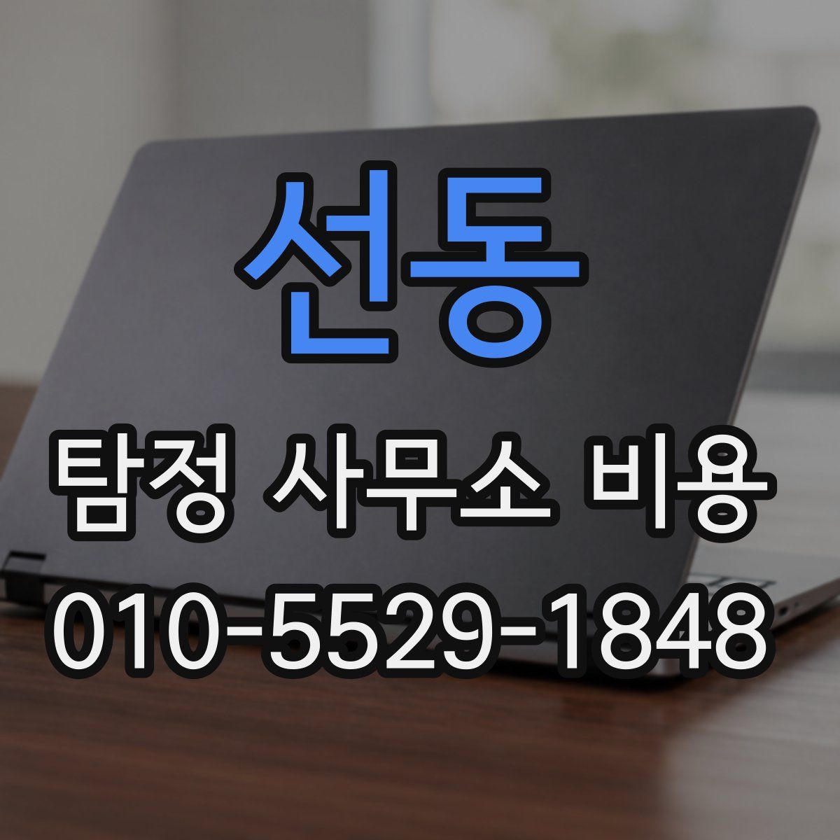 선동 탐정 사무소 비용