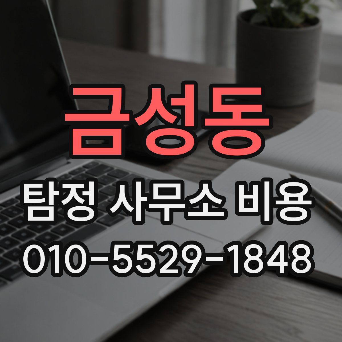 금성동 탐정 사무소 비용