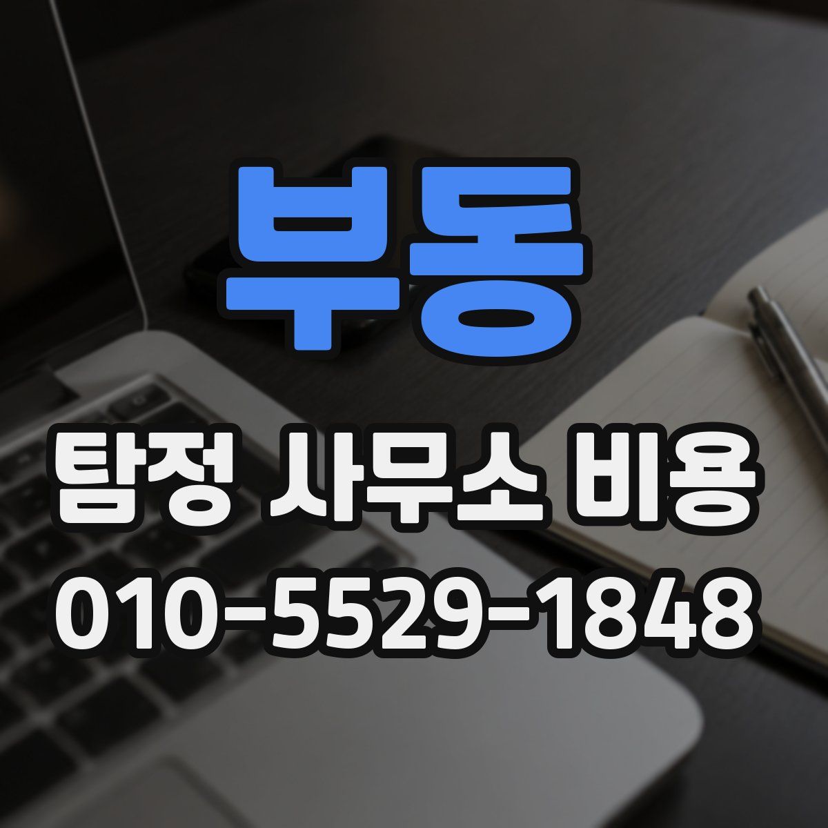 부동 탐정 사무소 비용