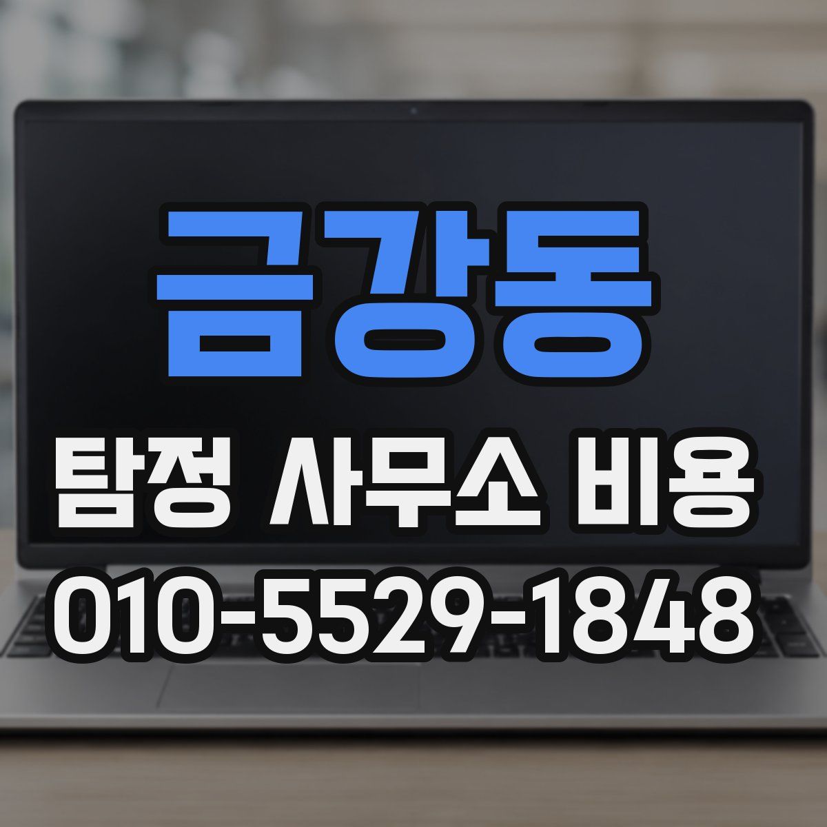 금강동 탐정 사무소 비용