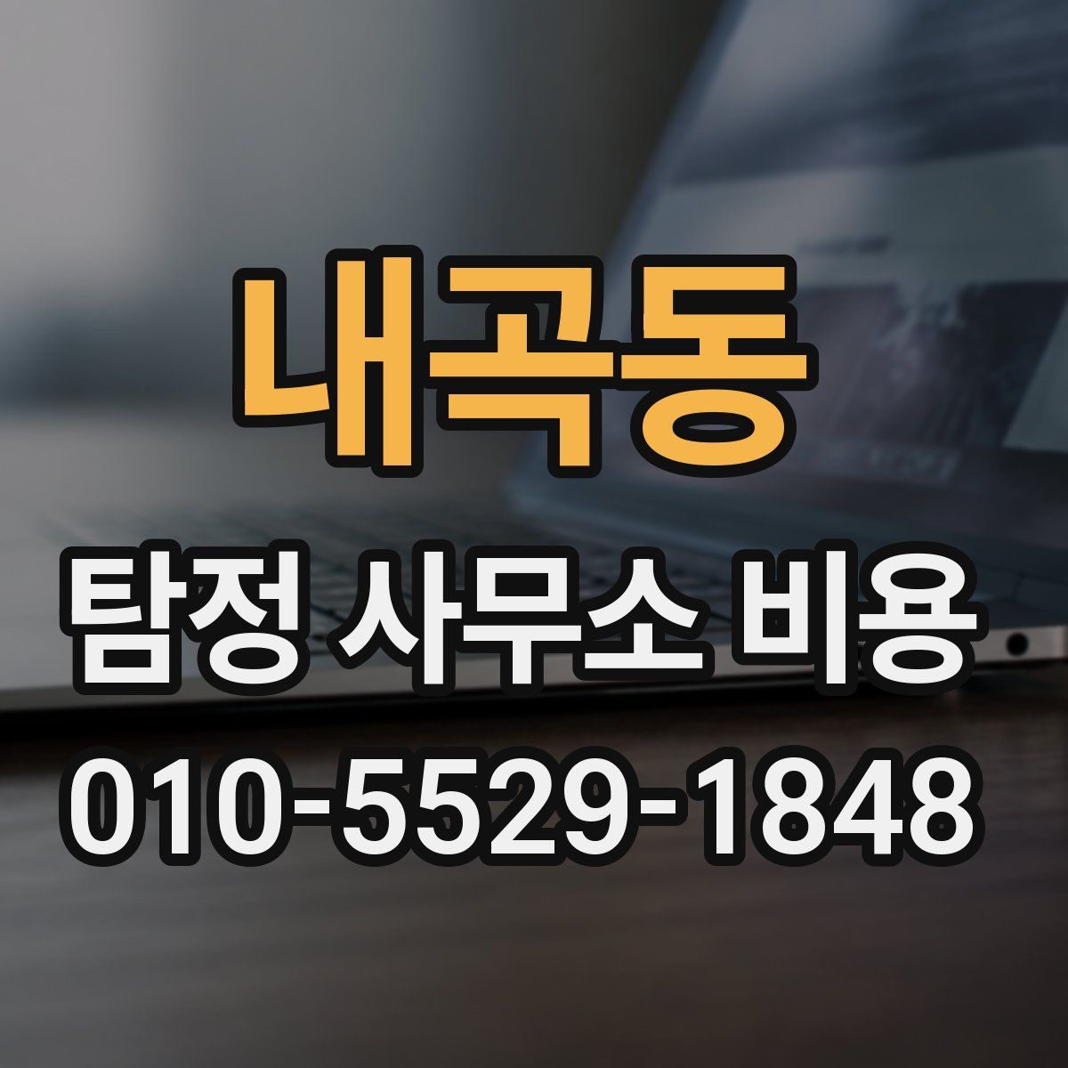 내곡동 탐정 사무소 비용