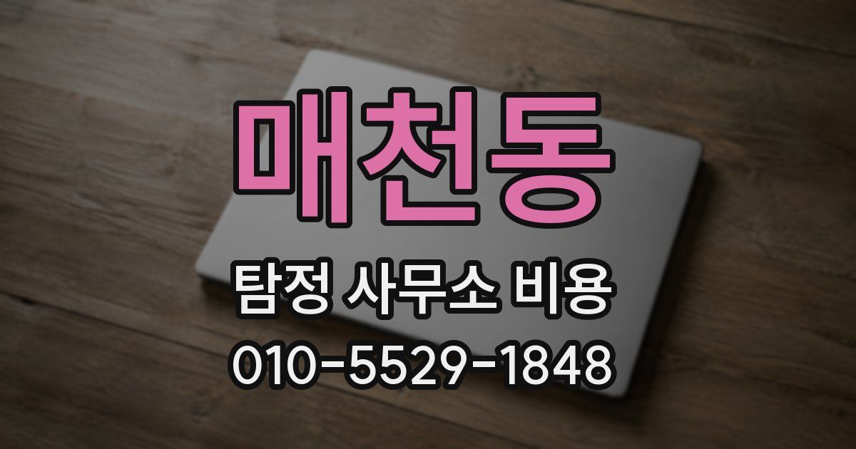 매천동 탐정 사무소 비용
