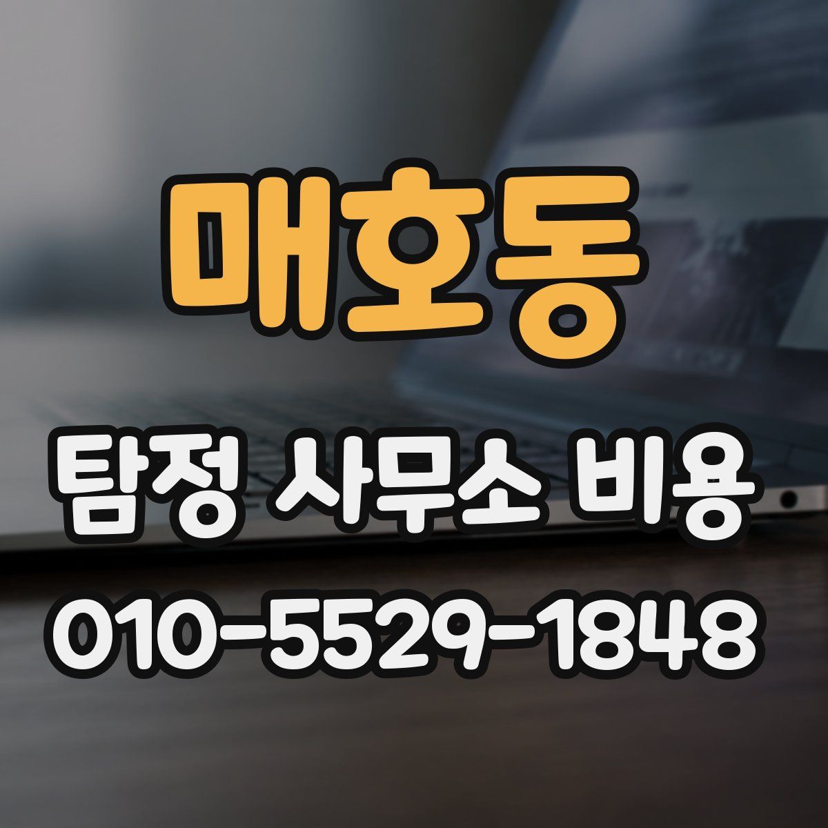 매호동 탐정 사무소 비용