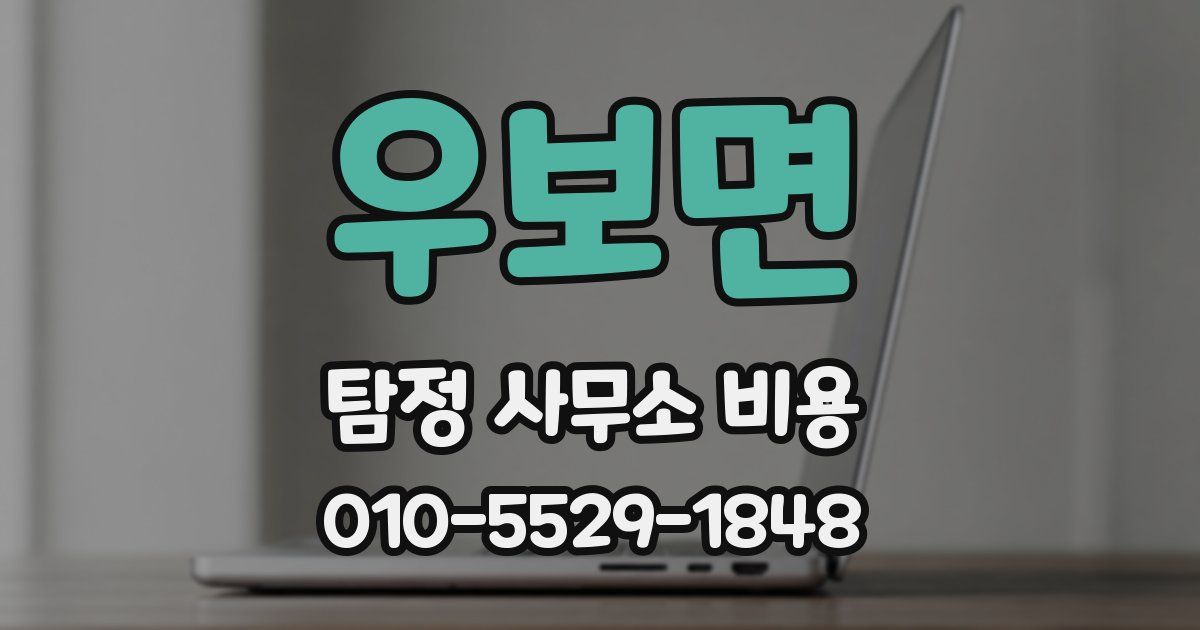 우보면 탐정 사무소 비용
