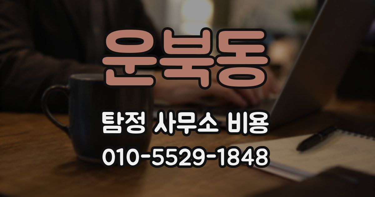 운북동 탐정 사무소 비용