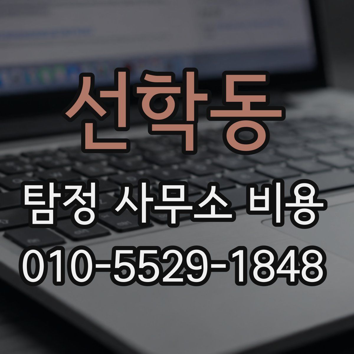 선학동 탐정 사무소 비용
