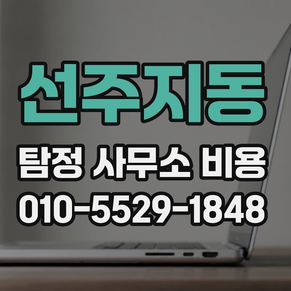 선주지동 탐정 사무소 비용
