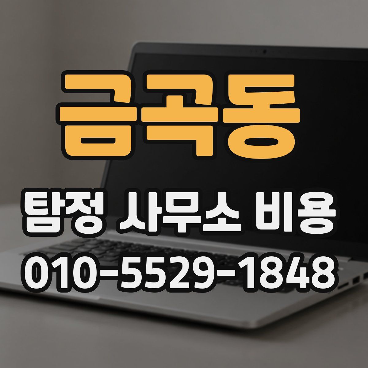 금곡동 탐정 사무소 비용