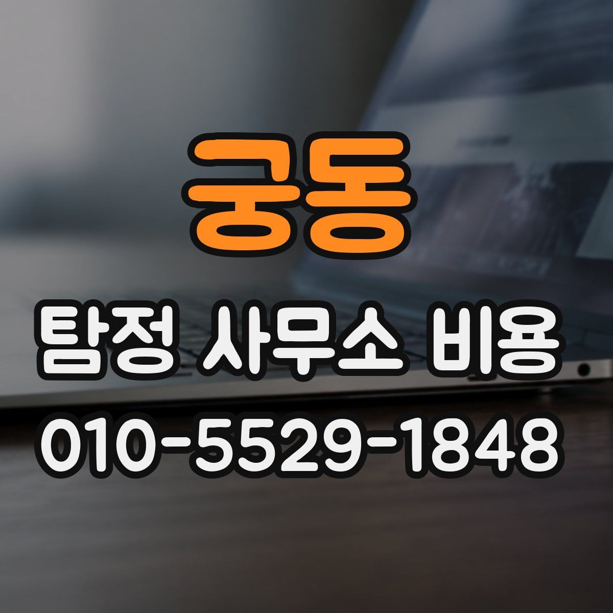 궁동 탐정 사무소 비용