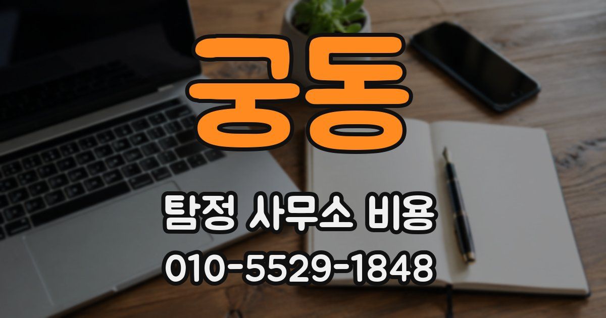 궁동 탐정 사무소 비용