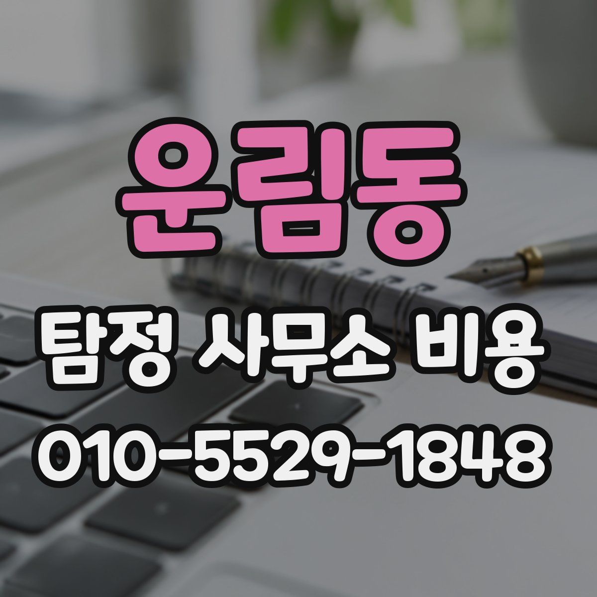 운림동 탐정 사무소 비용
