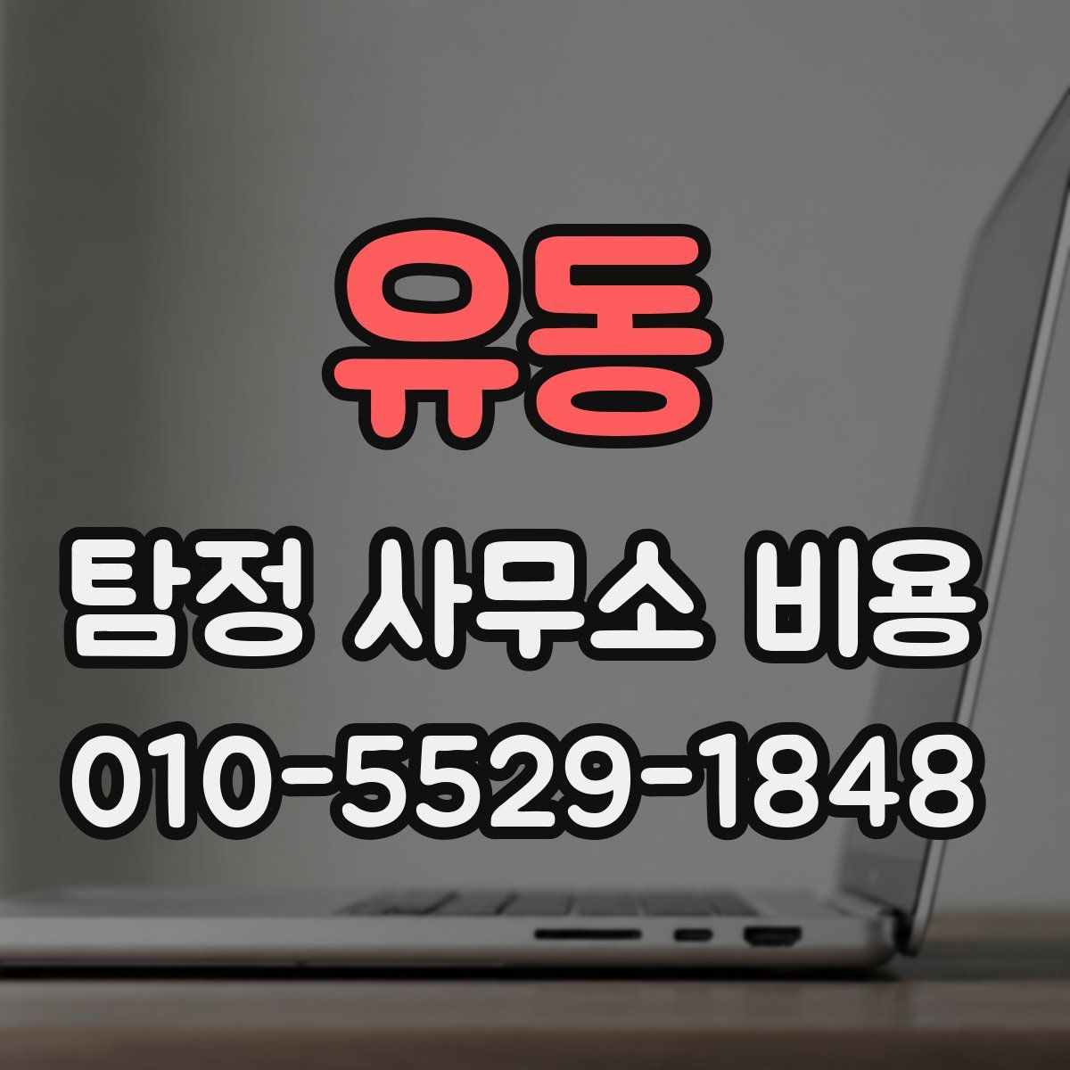 유동 탐정 사무소 비용