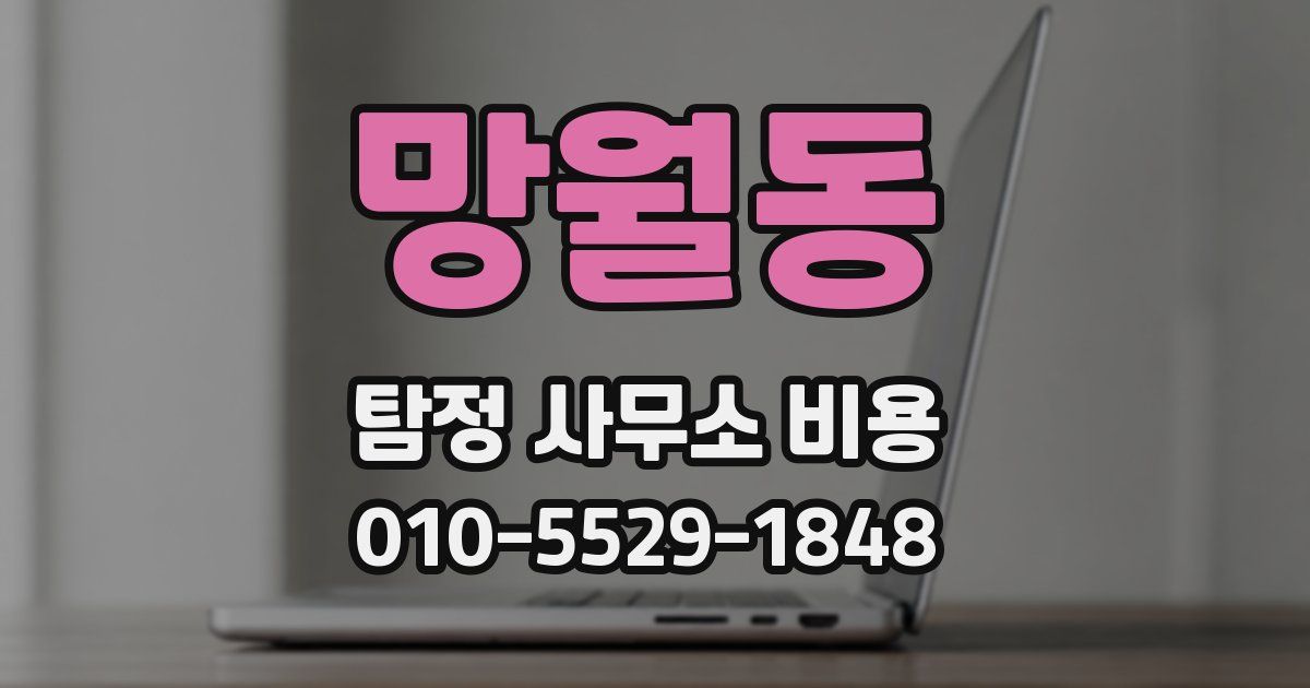 망월동 탐정 사무소 비용