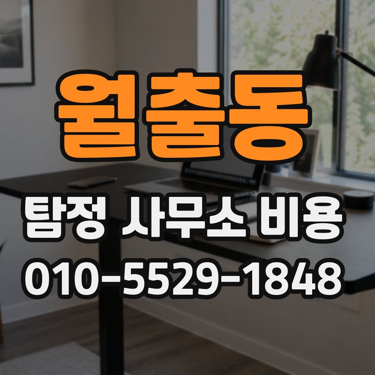월출동 탐정 사무소 비용