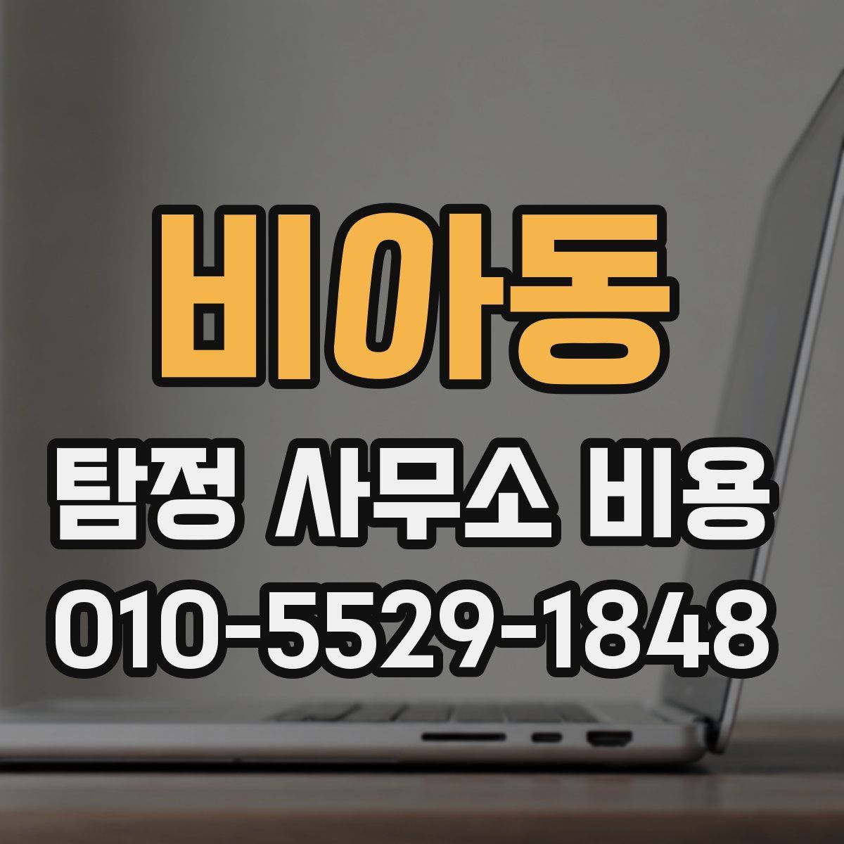 비아동 탐정 사무소 비용