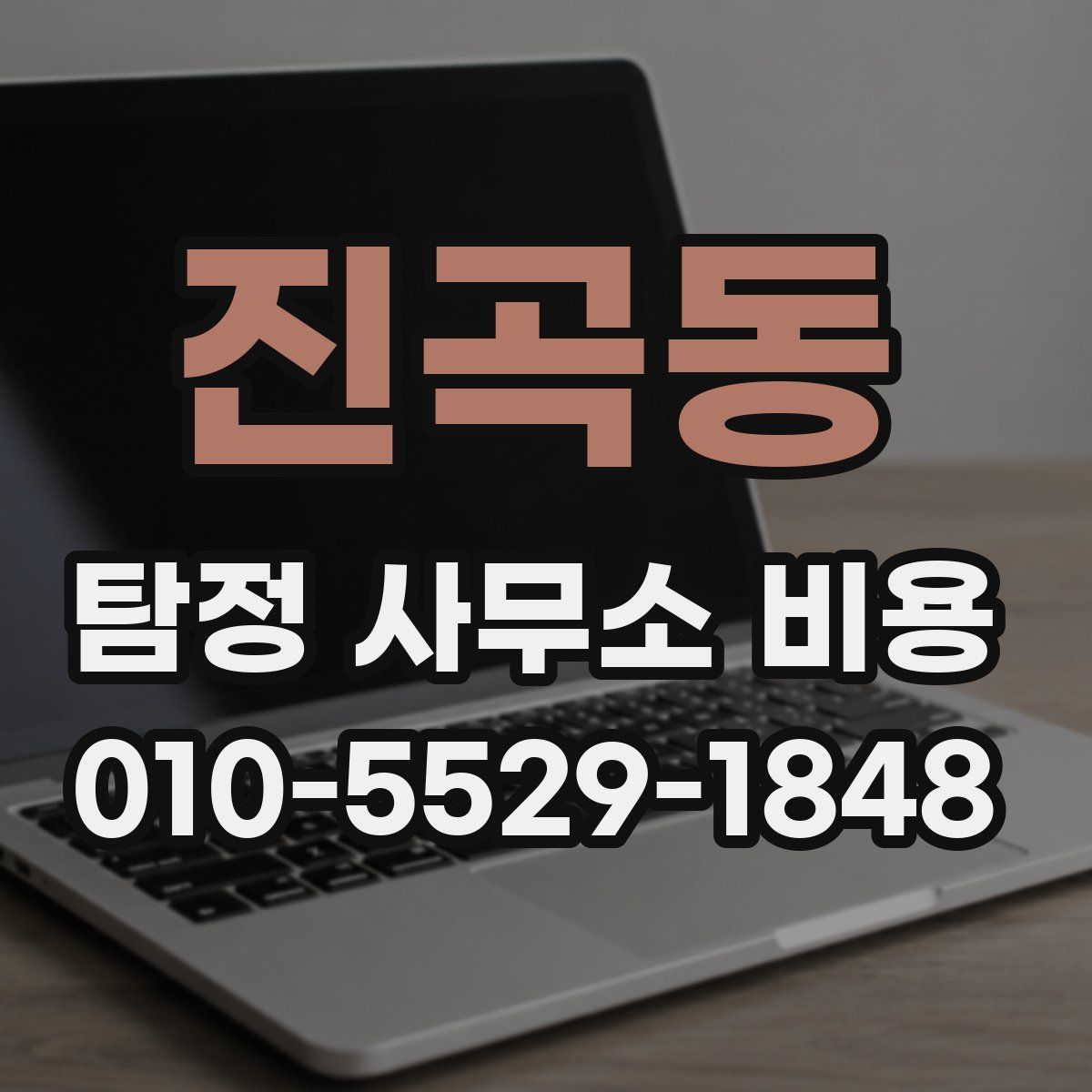 진곡동 탐정 사무소 비용