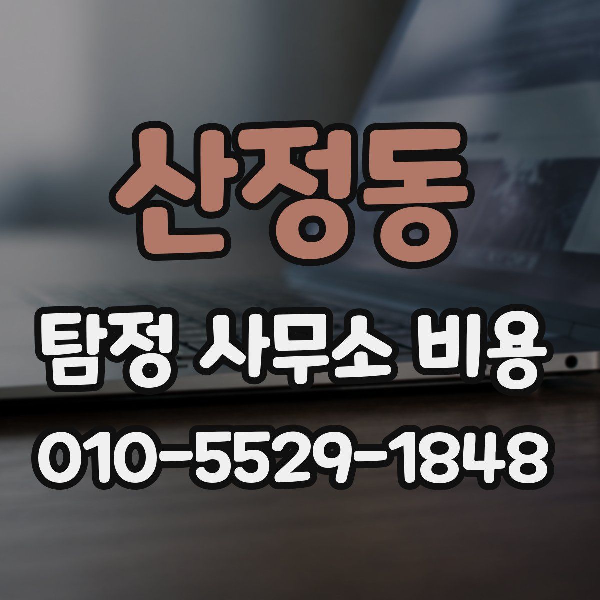 산정동 탐정 사무소 비용
