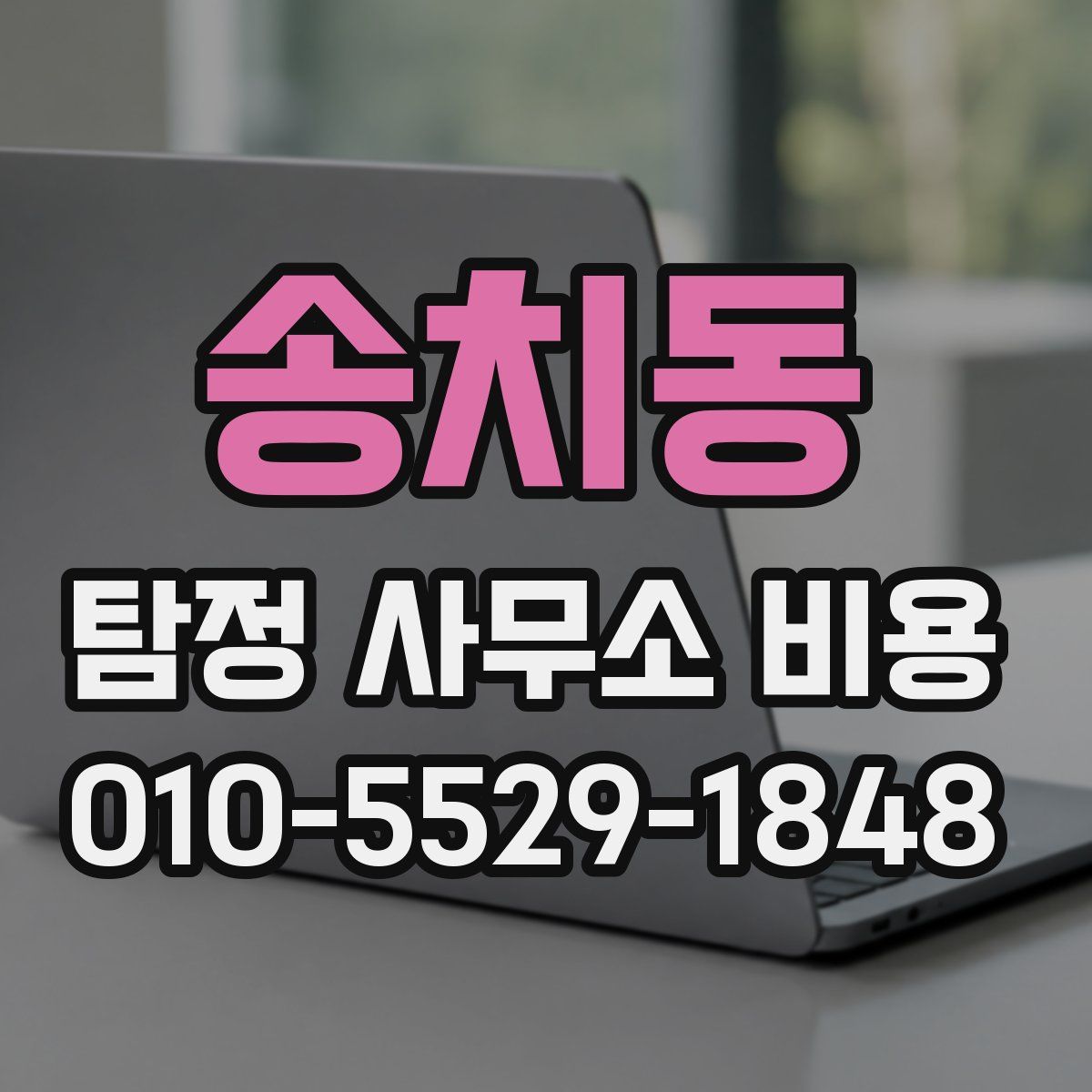 송치동 탐정 사무소 비용