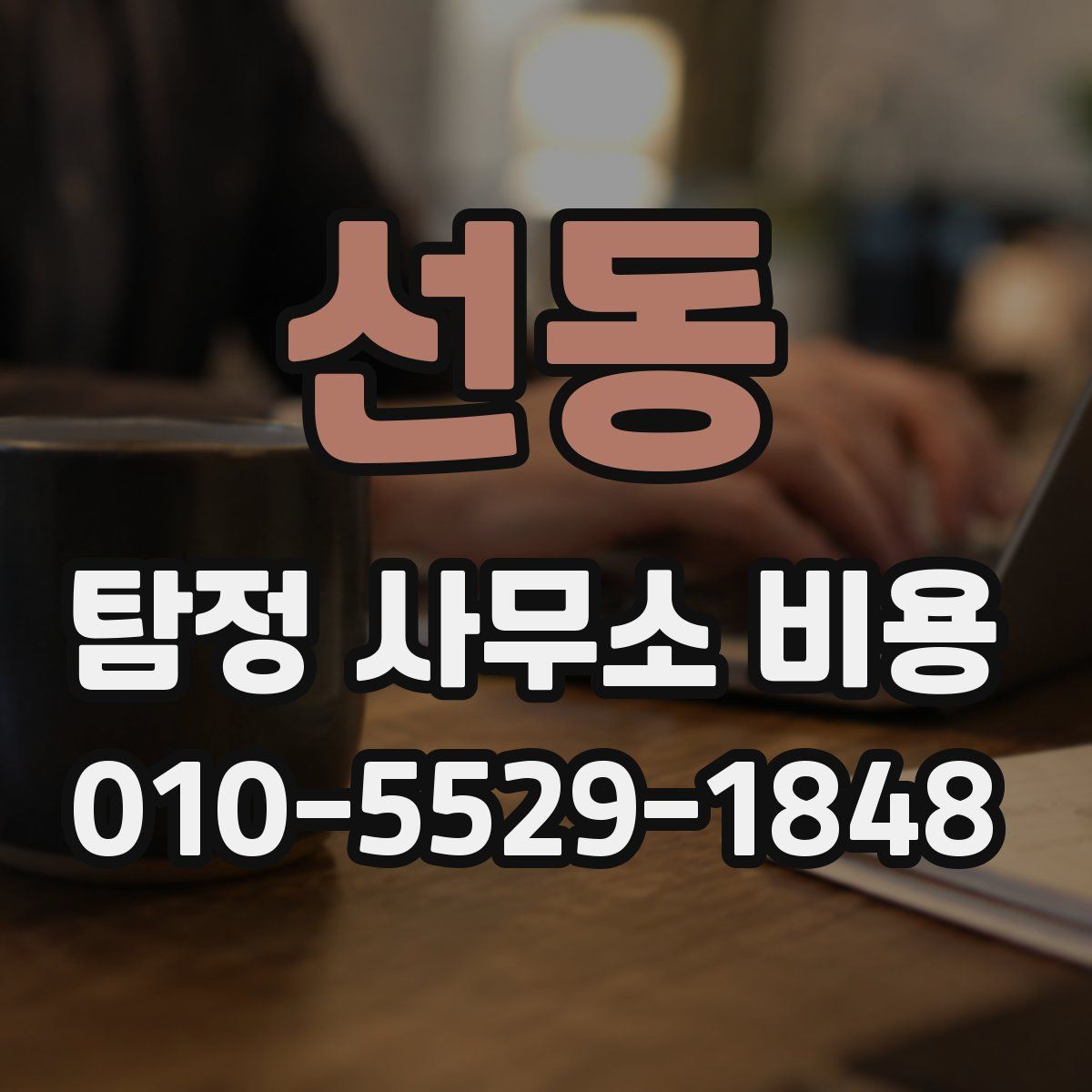 선동 탐정 사무소 비용