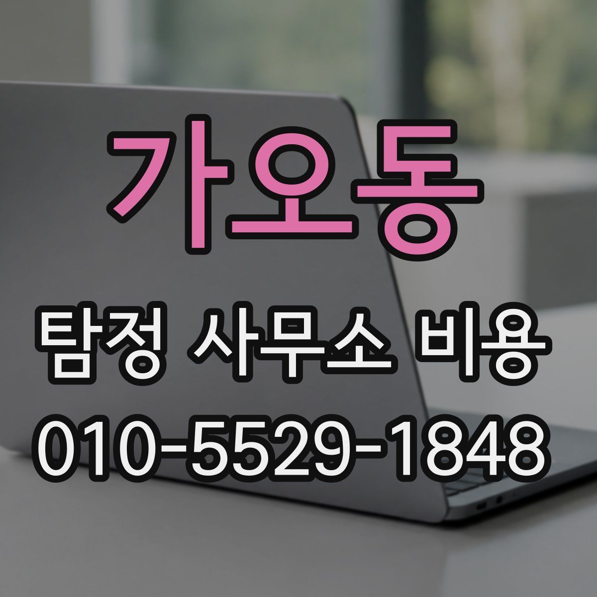 가오동 탐정 사무소 비용