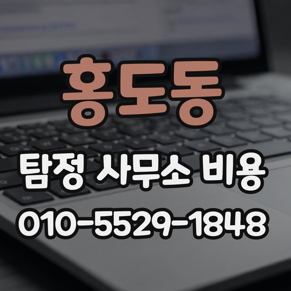 홍도동 탐정 사무소 비용