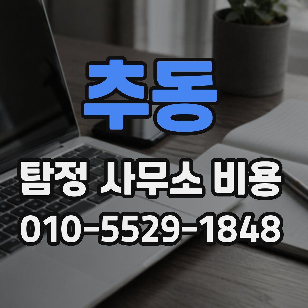 추동 탐정 사무소 비용