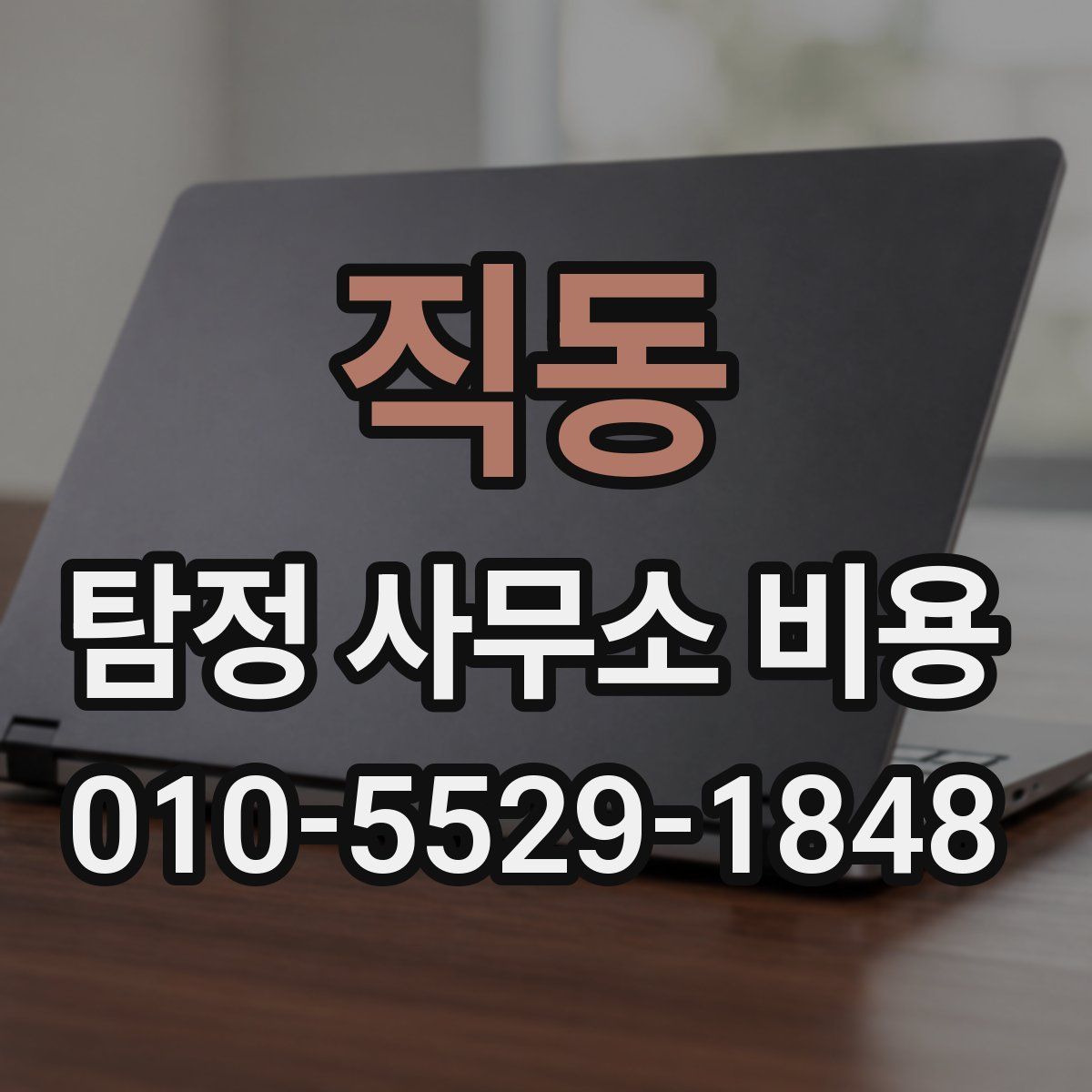 직동 탐정 사무소 비용