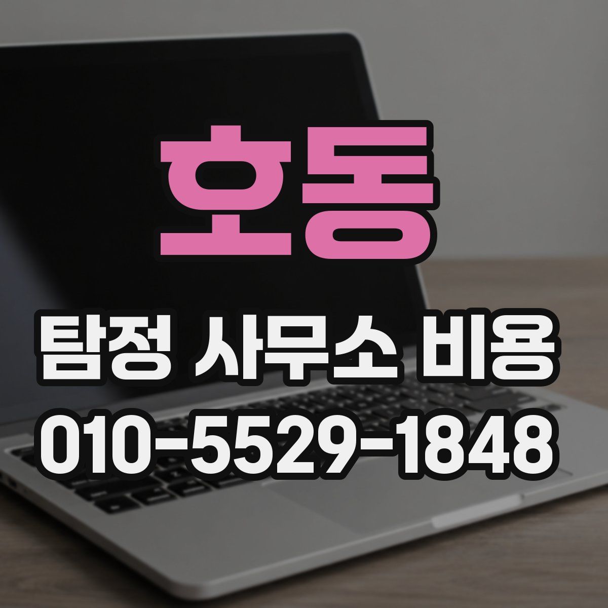 호동 탐정 사무소 비용