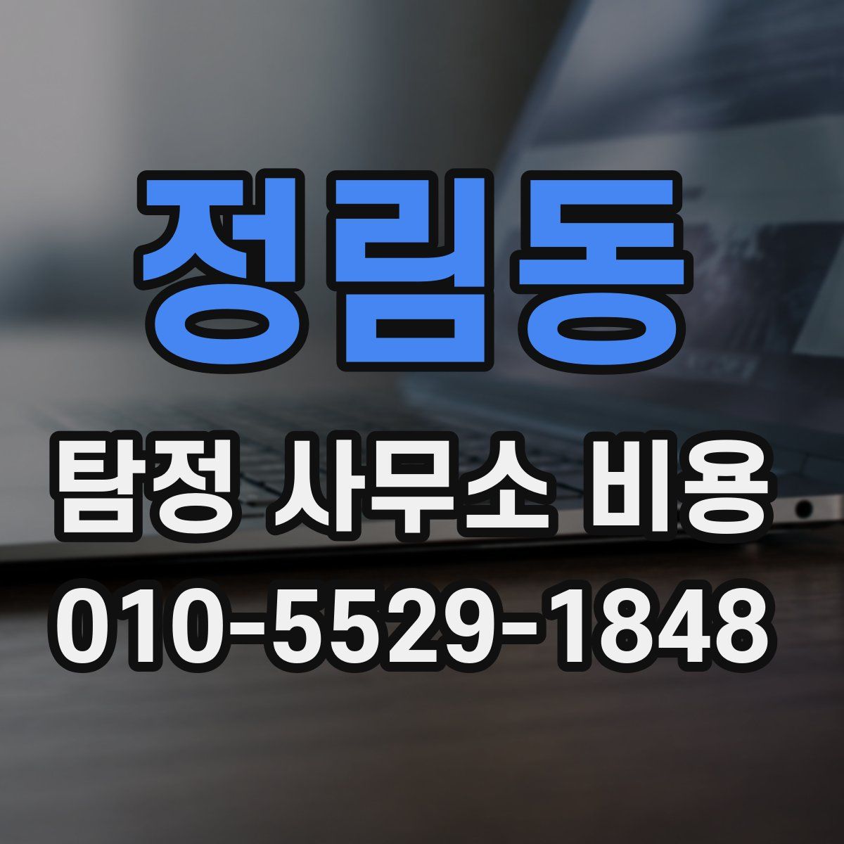 정림동 탐정 사무소 비용