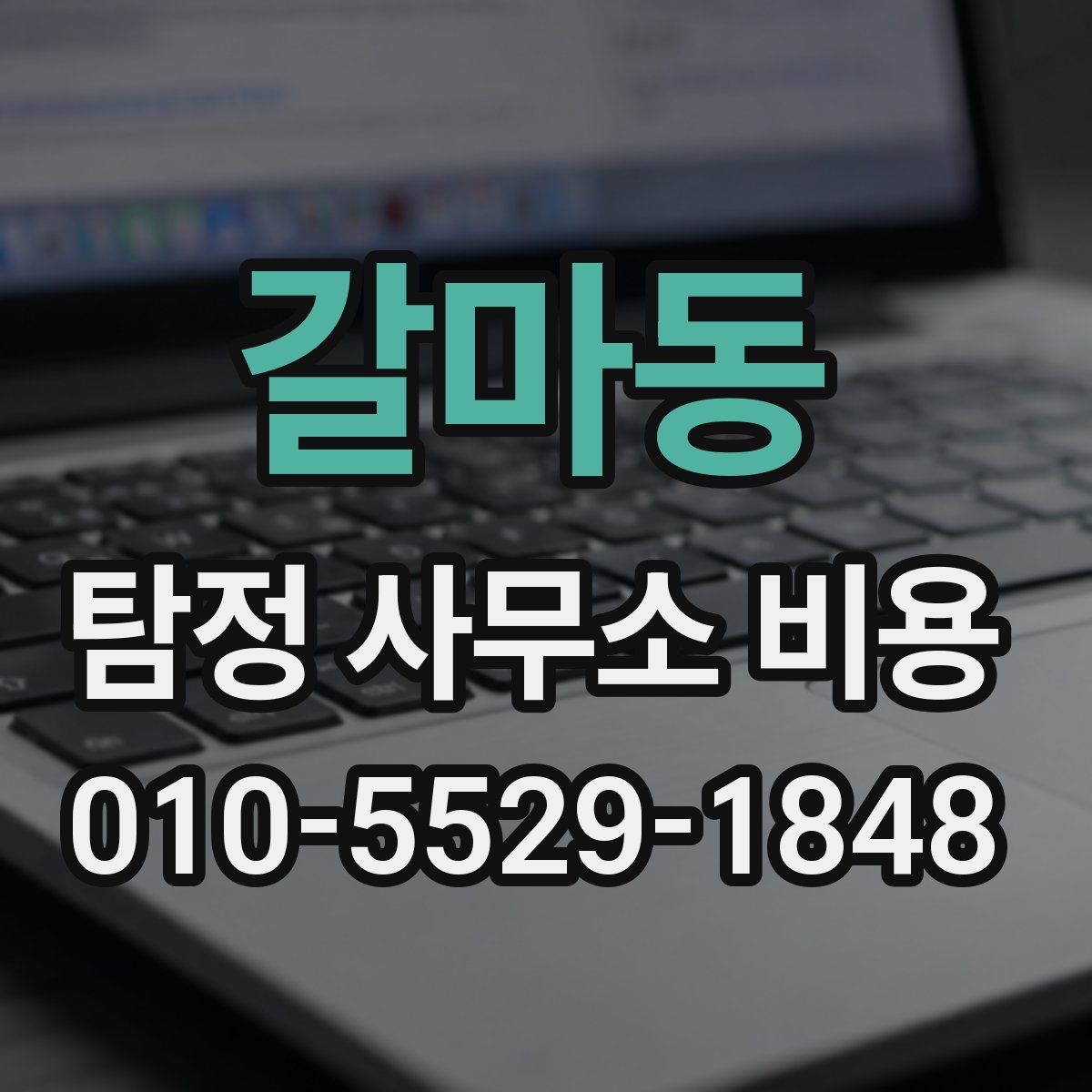 갈마동 탐정 사무소 비용