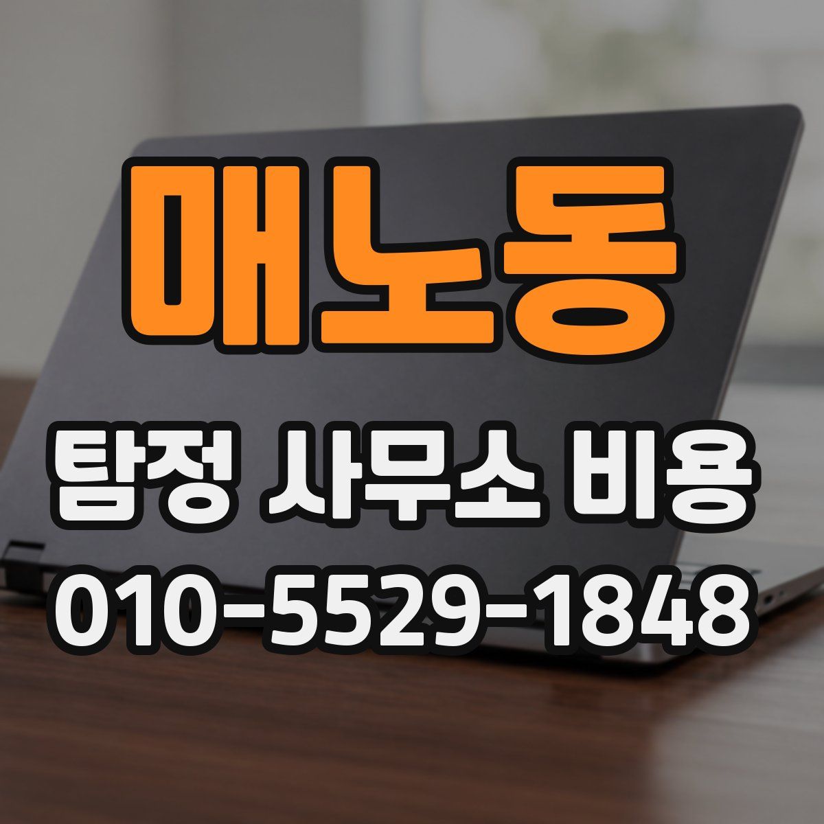 매노동 탐정 사무소 비용